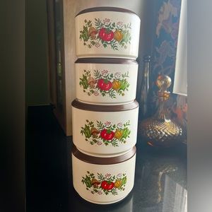 Vintage 1970’s Sterilite “Spice of Life” canister set of (4)